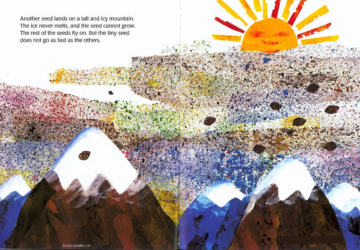 The Tiny Seed绘本故事第5页