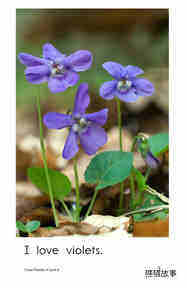 I Love Flowers绘本故事第3页