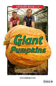 Giant Pumpkins