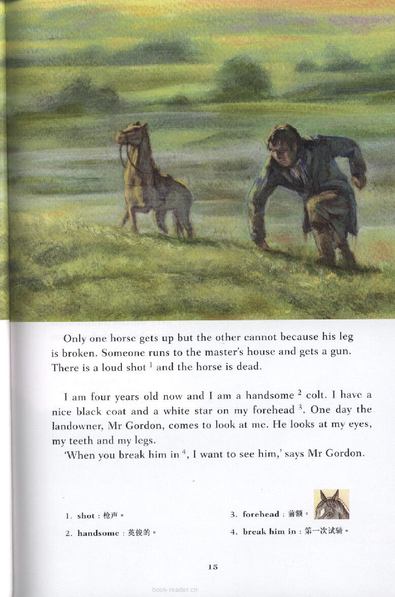 Black Beauty绘本故事第5页