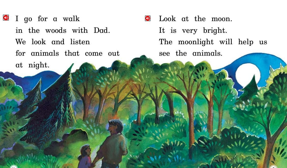 A walk at Night绘本故事第4页