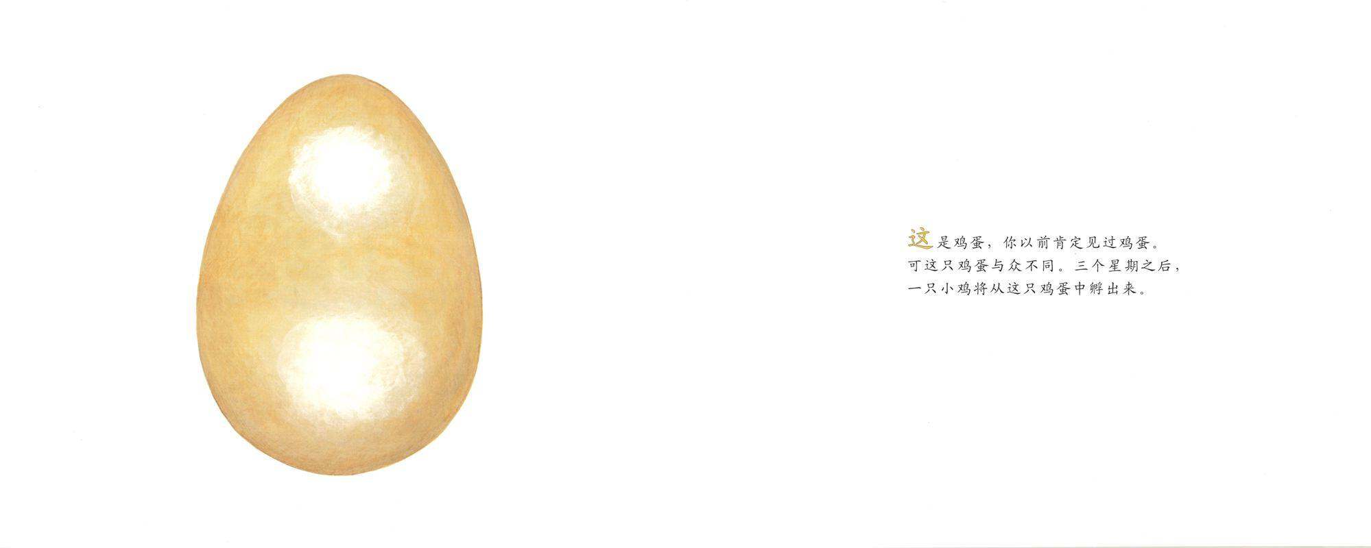 自然科学启蒙（第二辑）——小鸡从哪里来绘本故事第2页