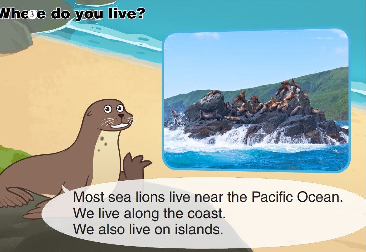 Sea Lion绘本故事第4页