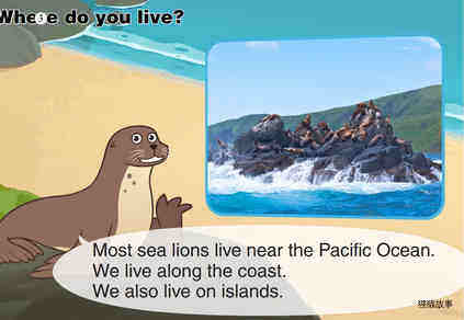 Sea Lion绘本故事第4页