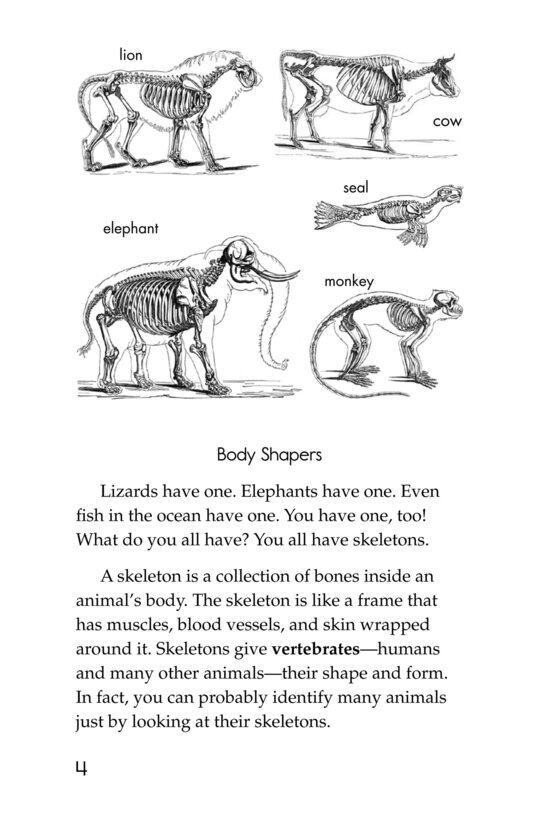 The Hard Stuff! All About Bones绘本故事第3页