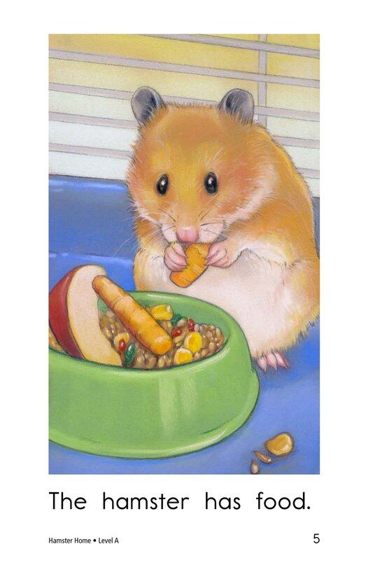 Hamster Home绘本故事第5页