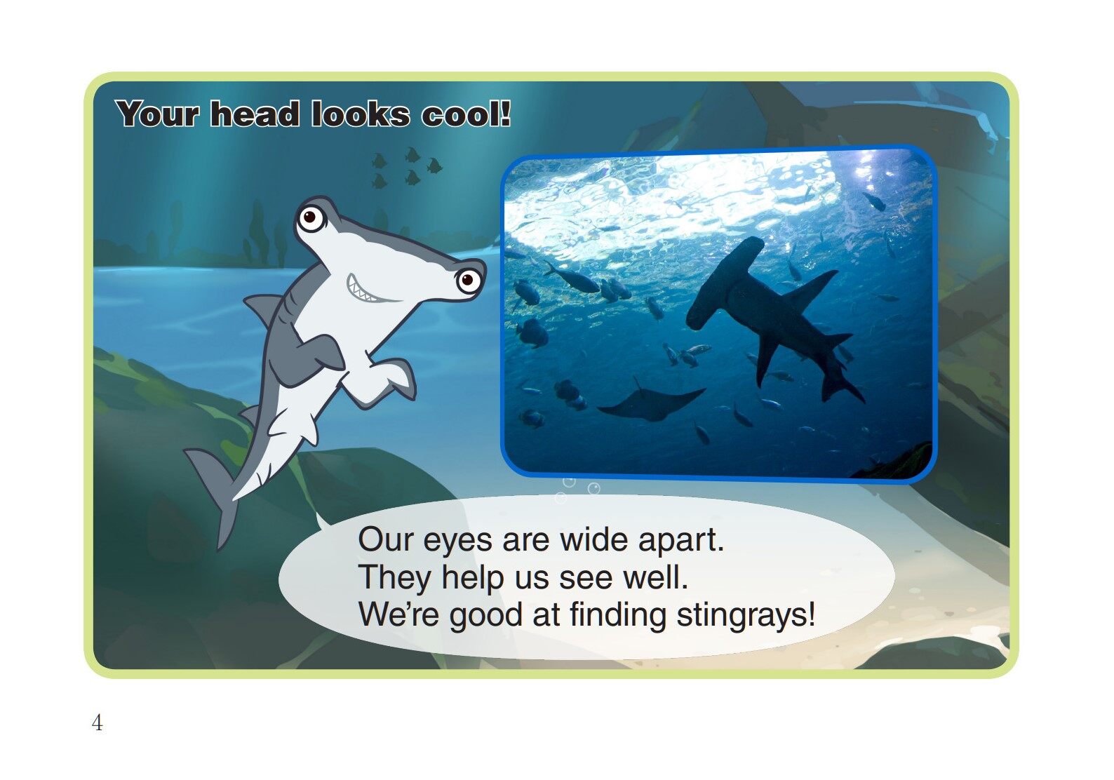 Hammerhead Shark绘本故事第5页