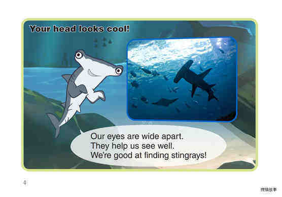 Hammerhead Shark绘本故事第5页