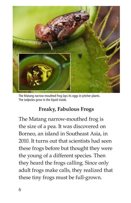 Animal Discoveries绘本故事第5页