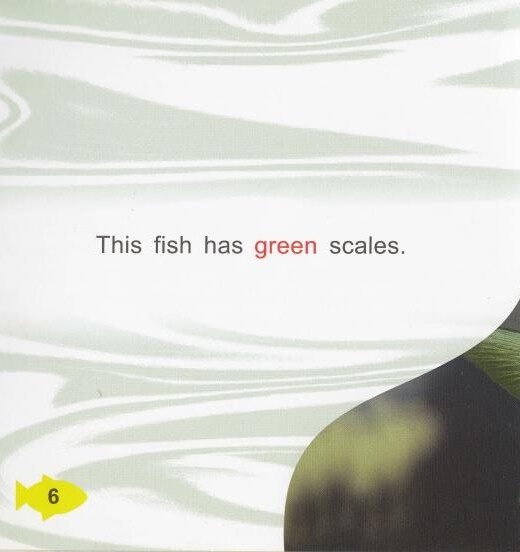Fish Colours绘本故事第5页