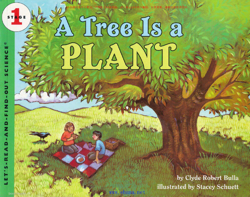 A Tree Is a Plant绘本故事第2页