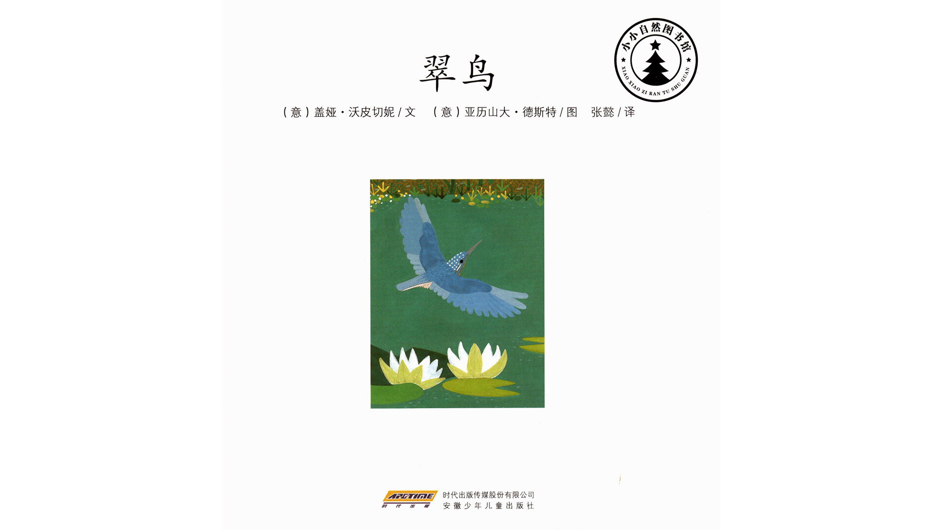 翠鸟绘本故事第2页