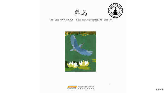 翠鸟绘本故事第2页