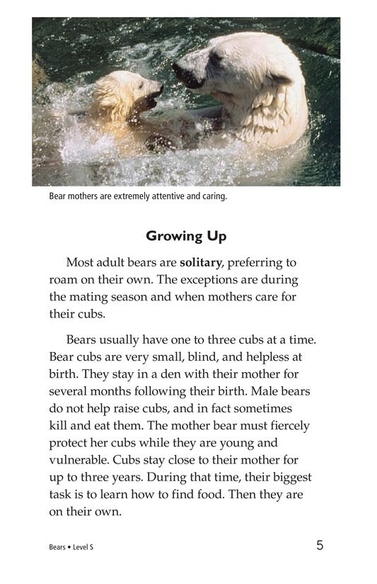 Bears绘本故事第4页