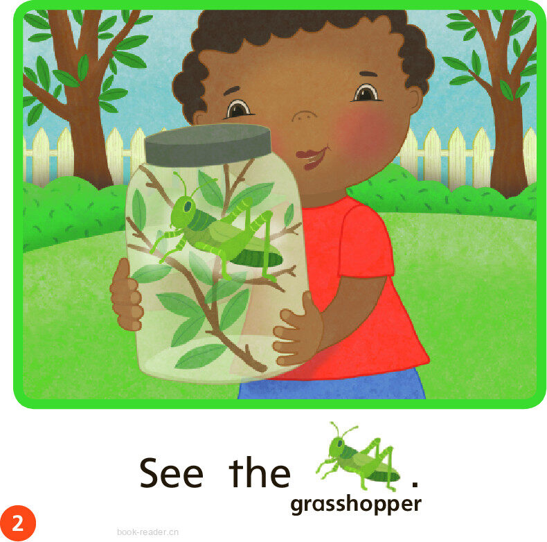 GK Approach U02W3 We Like Bugs!绘本故事第3页