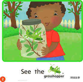 GK Approach U02W3 We Like Bugs!绘本故事第3页