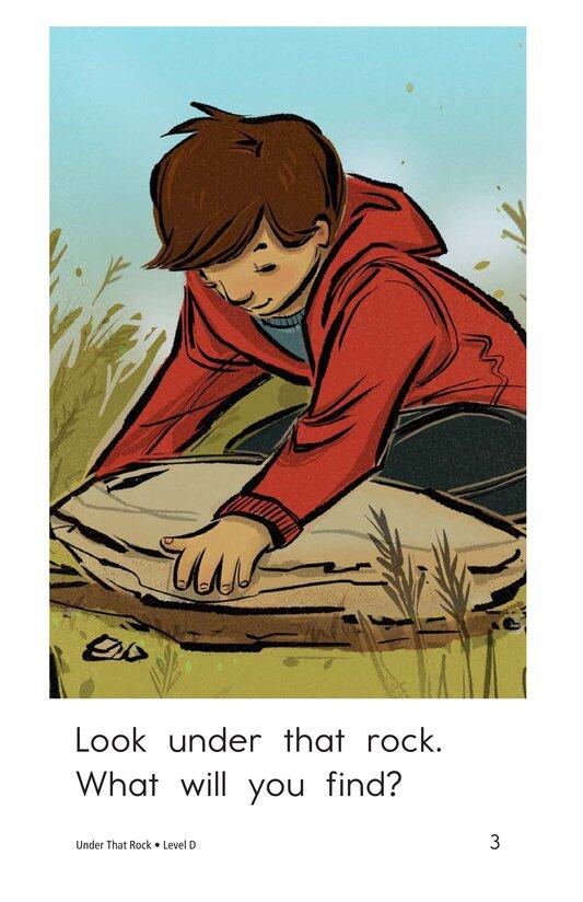 Under That Rock绘本故事第3页