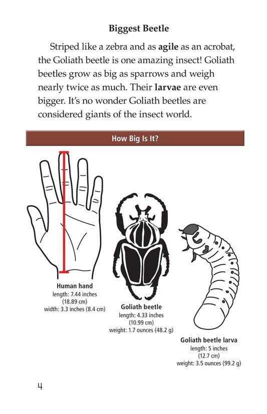 Goliath Beetles Giant Insects绘本故事第3页