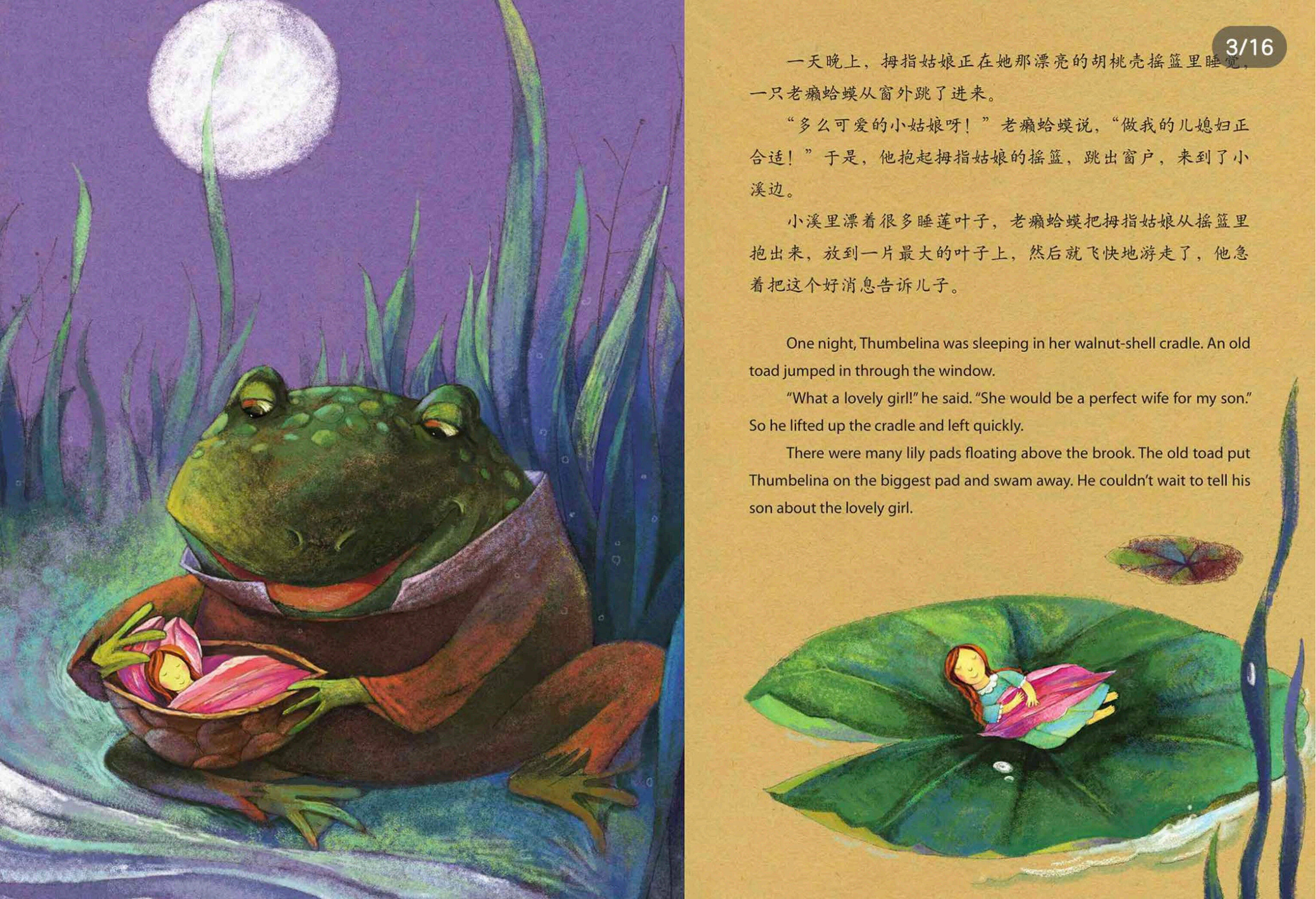 拇指姑娘绘本故事第3页