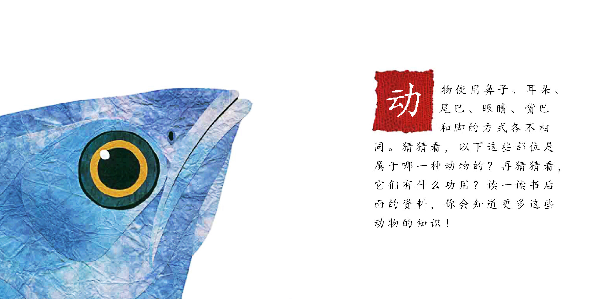 这样的尾巴可以做什么绘本故事第3页