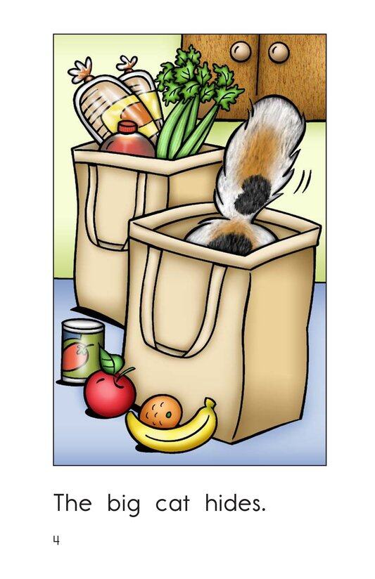 The Big Cat绘本故事第4页