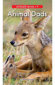 Animal Dads