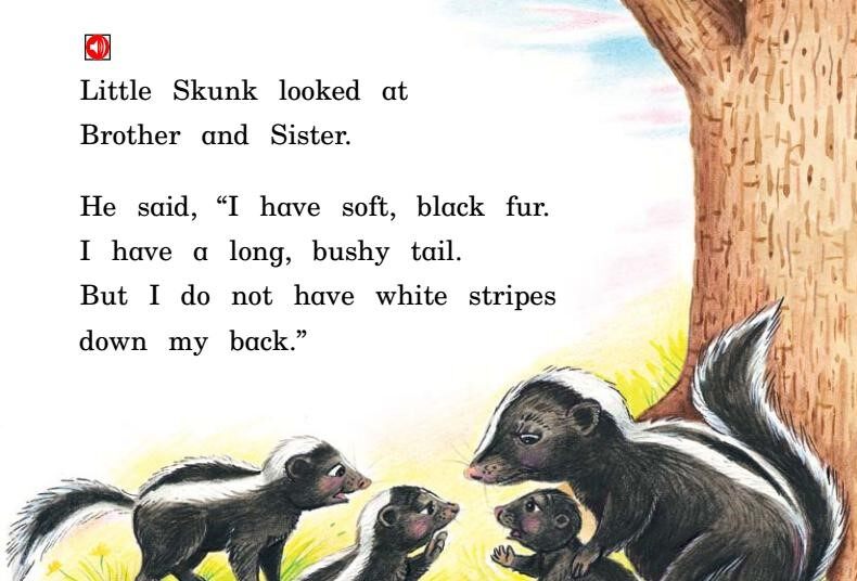 The skunk with No stripes绘本故事第5页