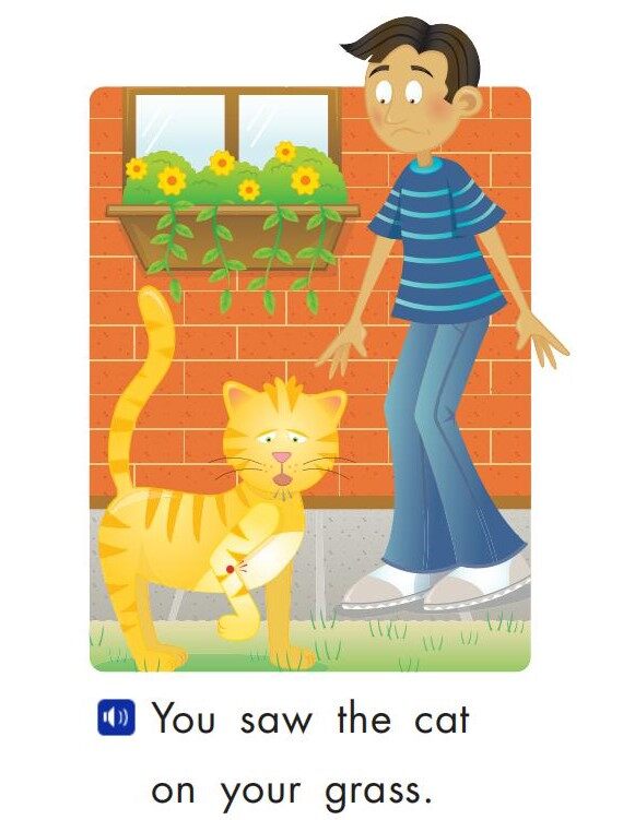 They Help Animals绘本故事第5页