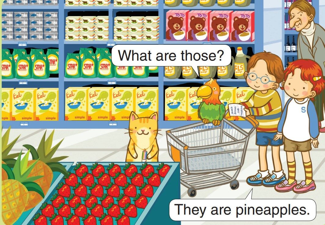 What Are These?绘本故事第3页