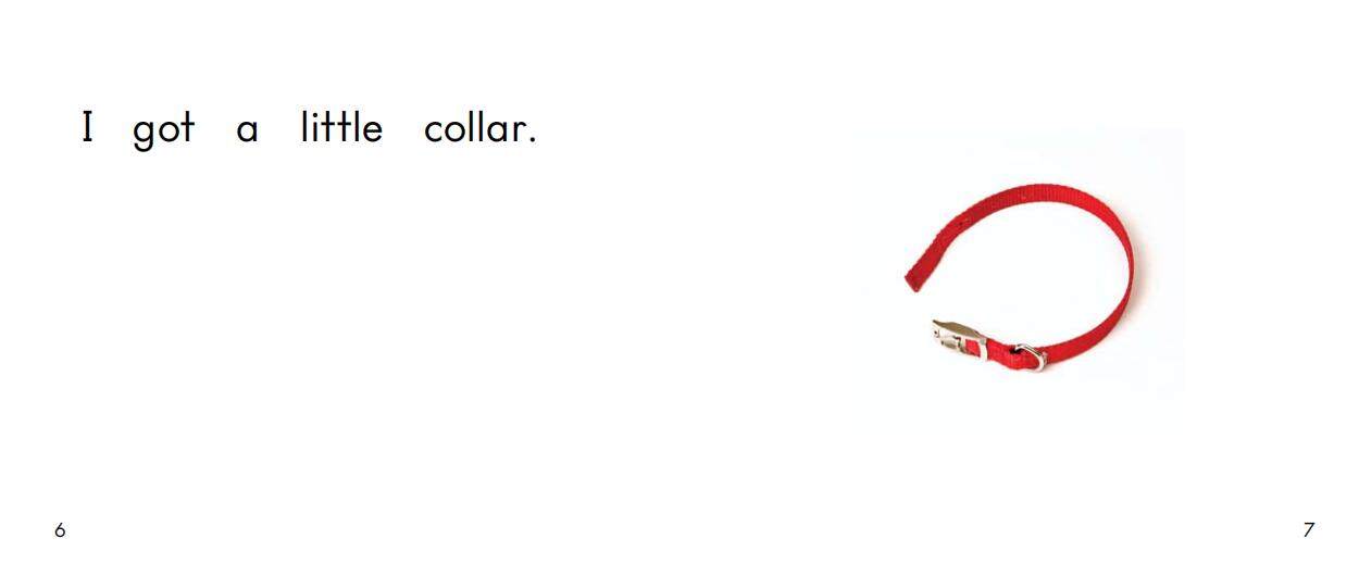 The new puppy绘本故事第5页