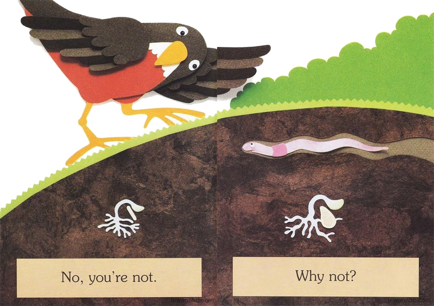 (33周)I'm a Seed绘本故事第5页