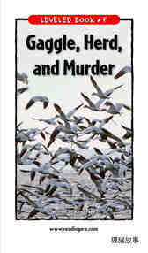 Gaggle,Herd,and Murder