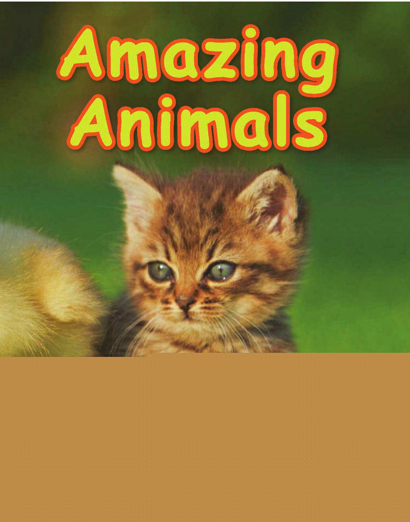 GK Unit 7绘本故事第4页