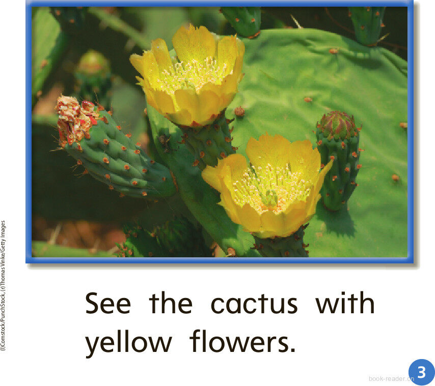 GK On U08W2 Places to See绘本故事第4页