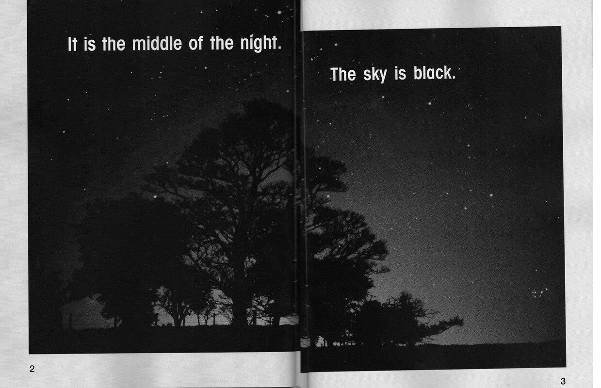 What Color Is the Sky绘本故事第3页