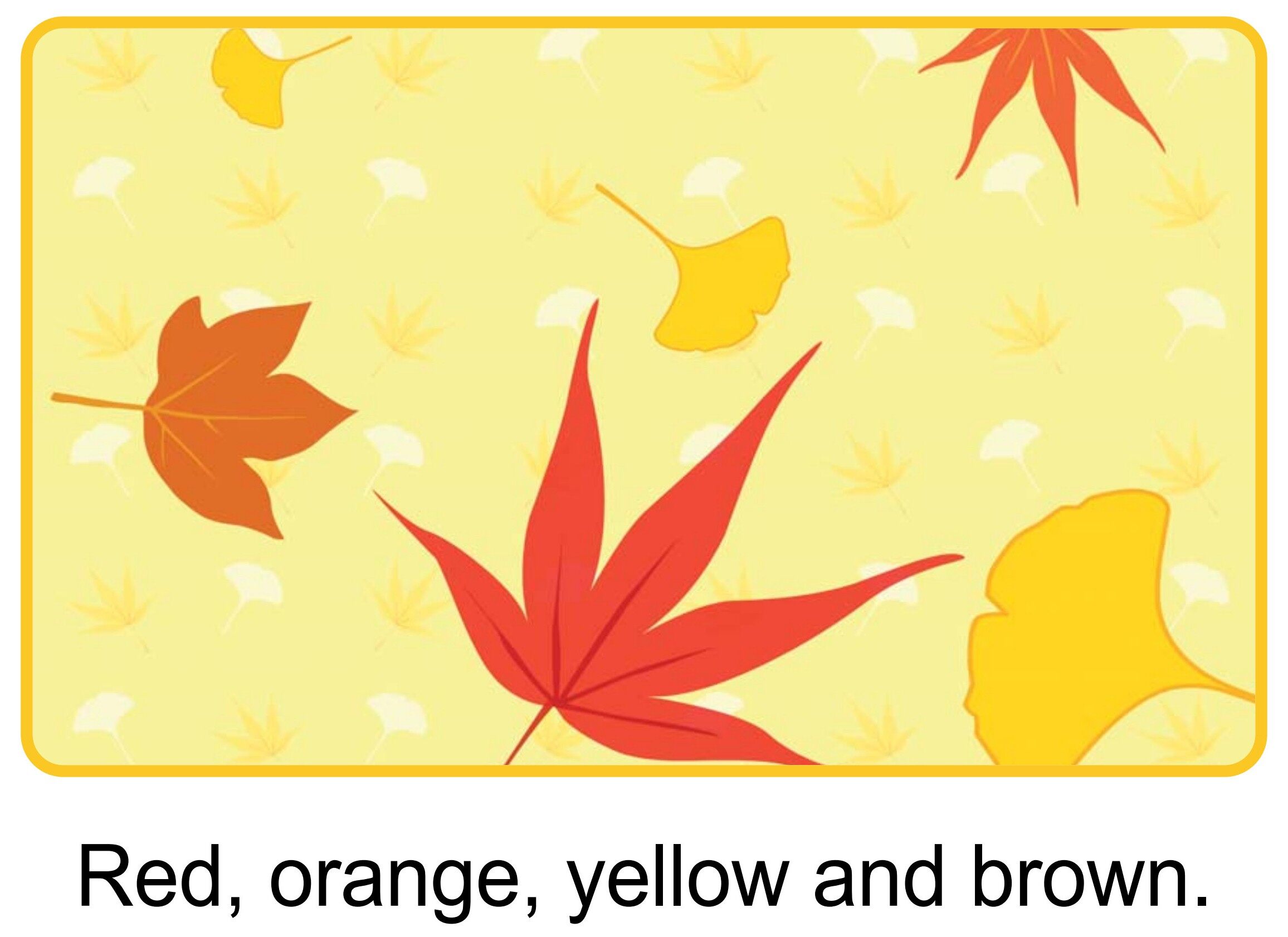 Pick Up a Leaf绘本故事第5页