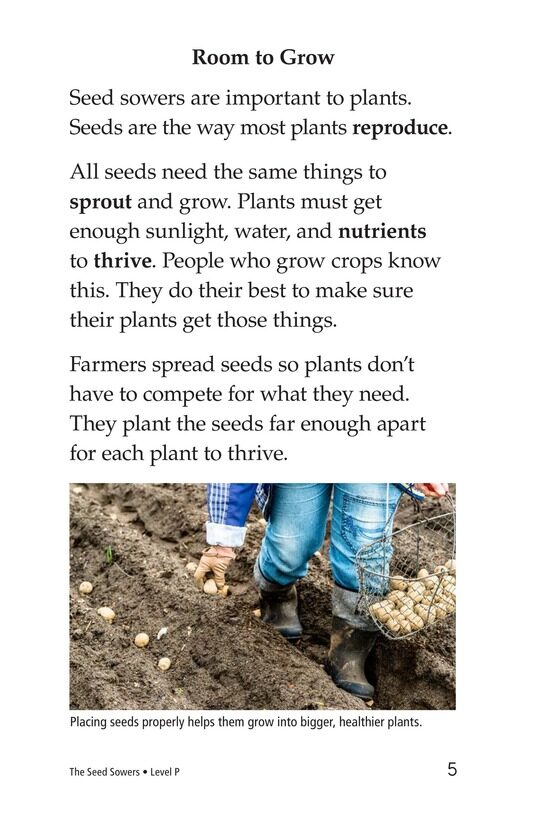 The Seed Sowers绘本故事第4页