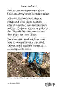 The Seed Sowers绘本故事第4页
