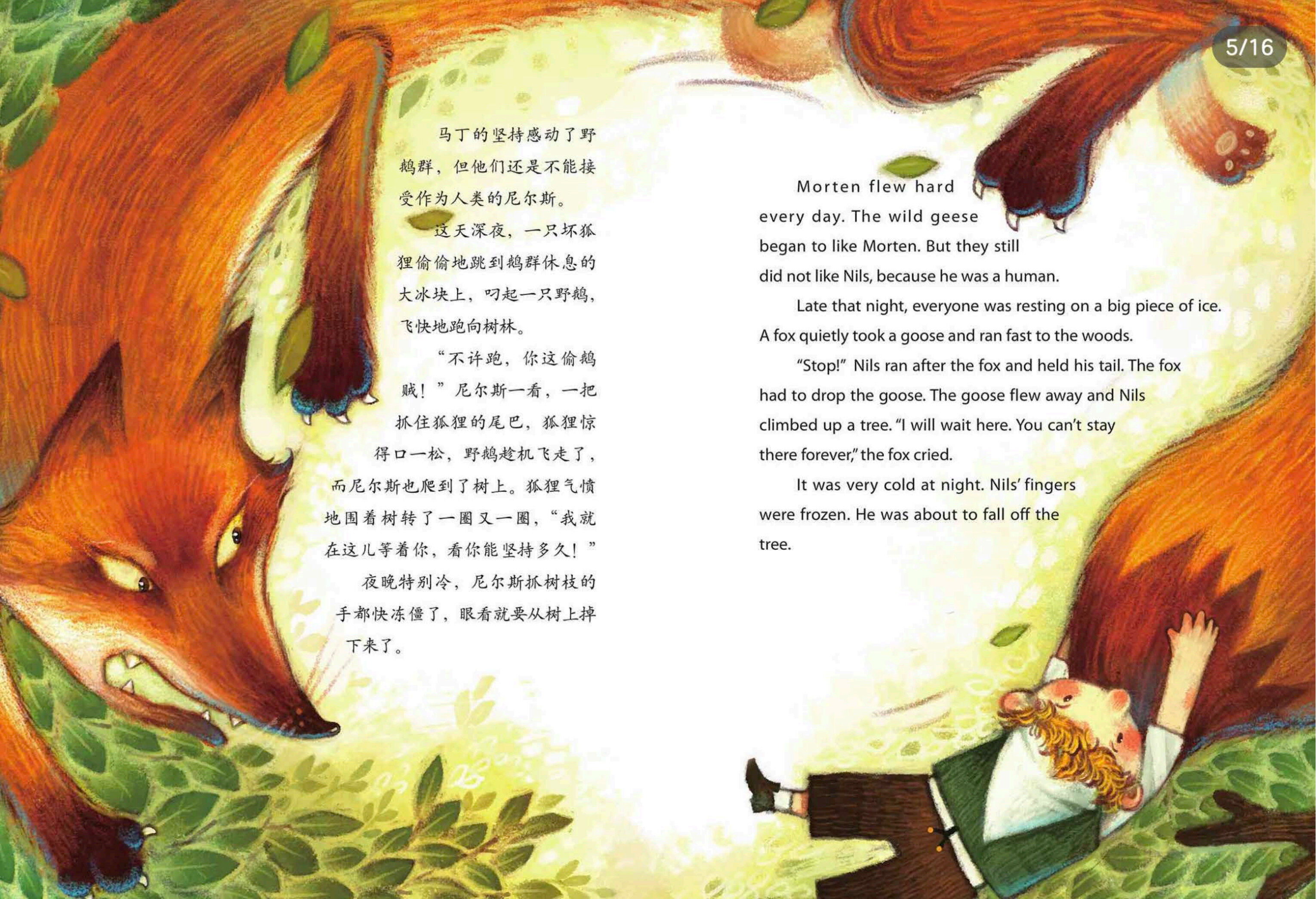尼尔斯旅行骑鹅记绘本故事第5页
