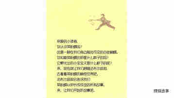 变身魔术师菜粉蝶绘本故事第3页