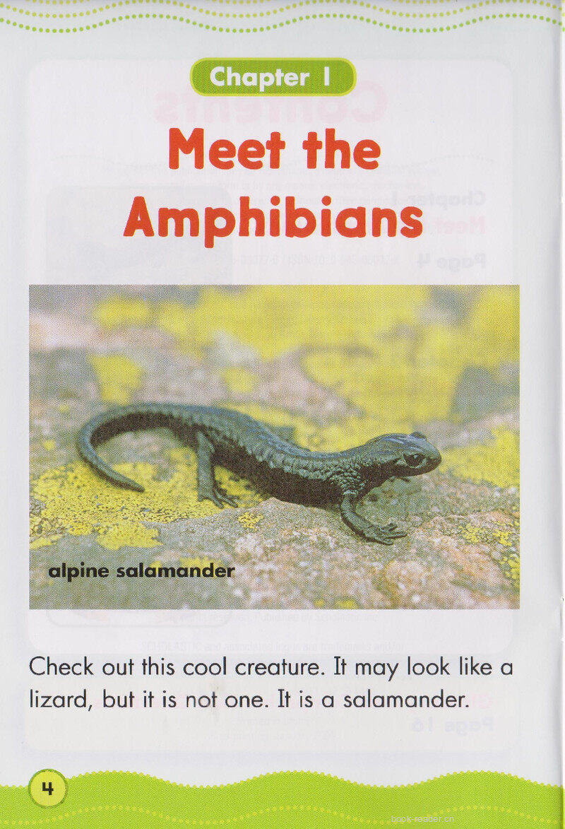 Awesome Amphibians绘本故事第3页