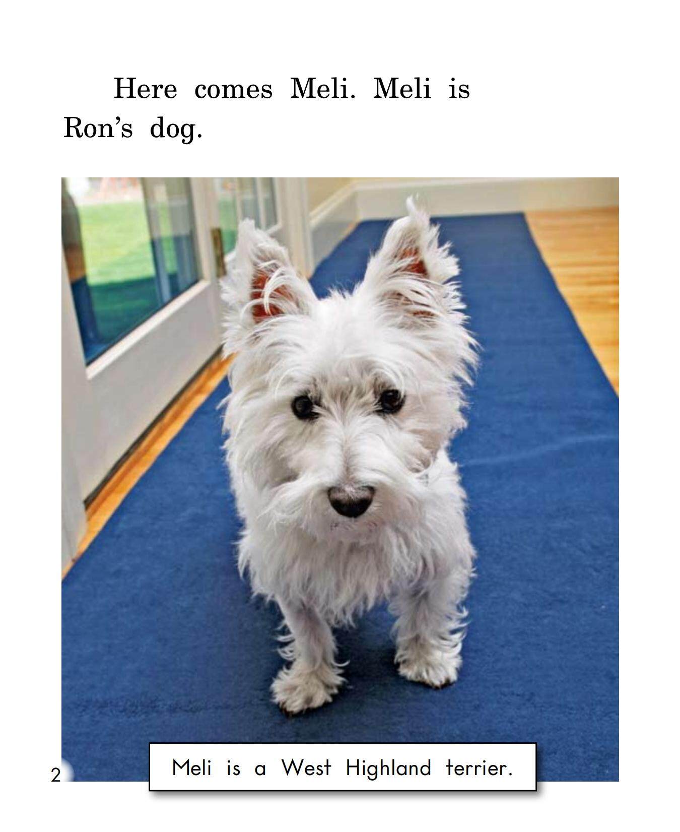 The Problem with Meli绘本故事第3页