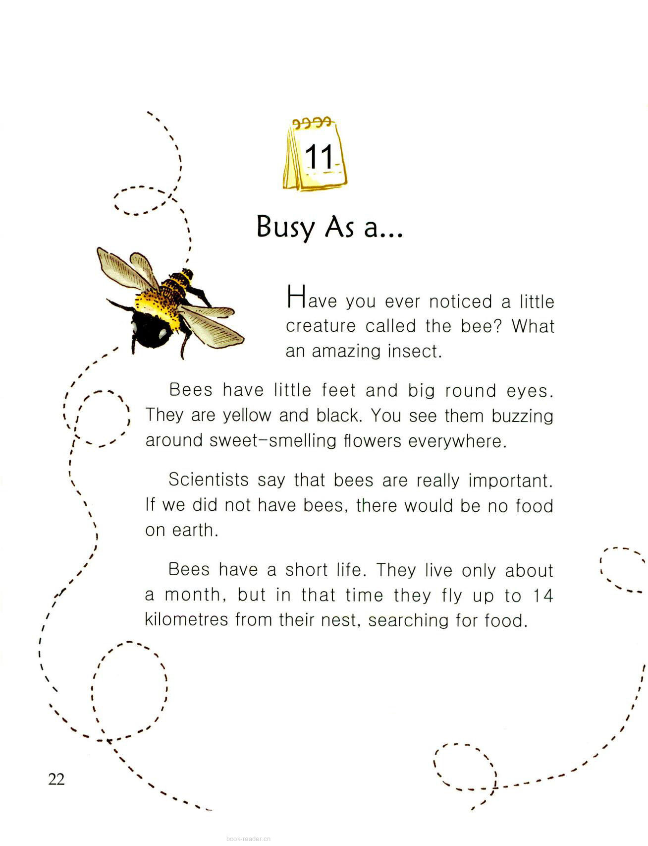 Busy As a绘本故事第2页