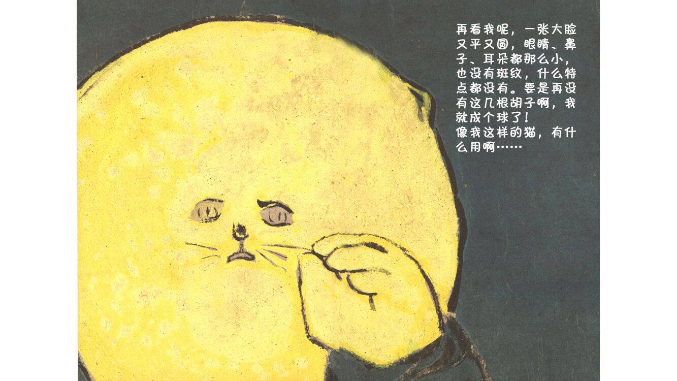 什么猫都有用绘本故事第5页