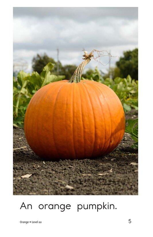 Orange绘本故事第5页