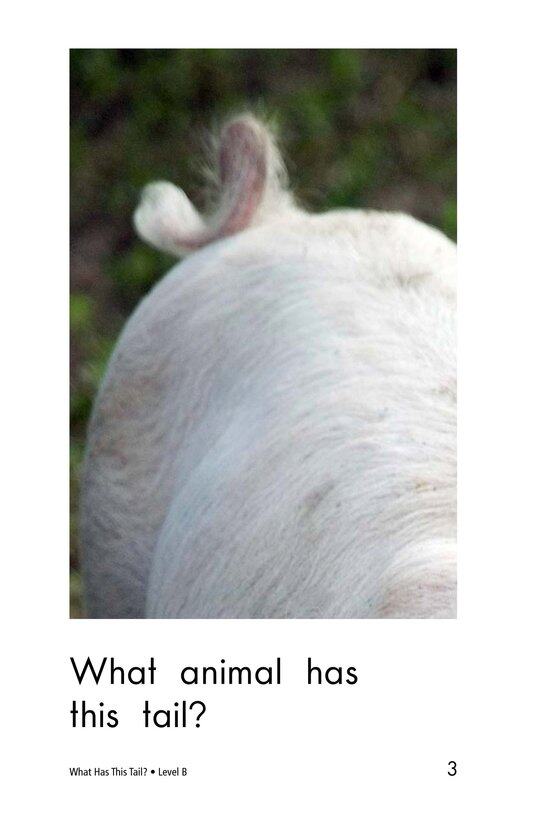 What Has This Tail绘本故事第3页