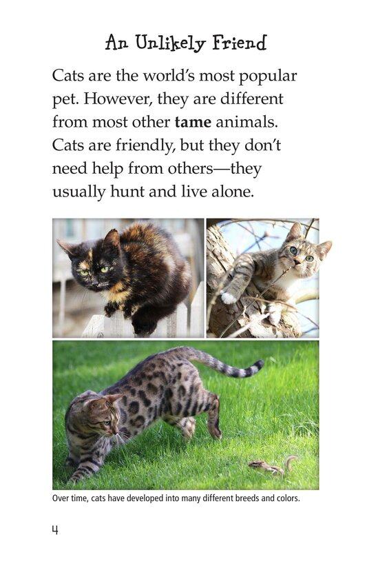 The History of House Cats绘本故事第3页