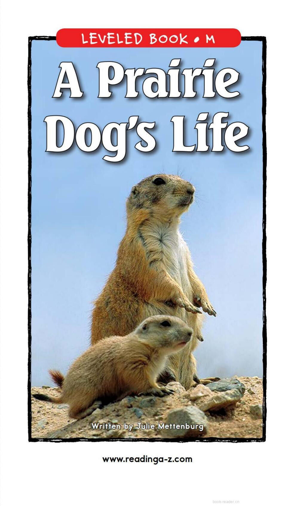 A Prairie Dog's Life绘本故事第2页