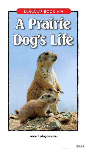 A Prairie Dog's Life绘本故事第2页