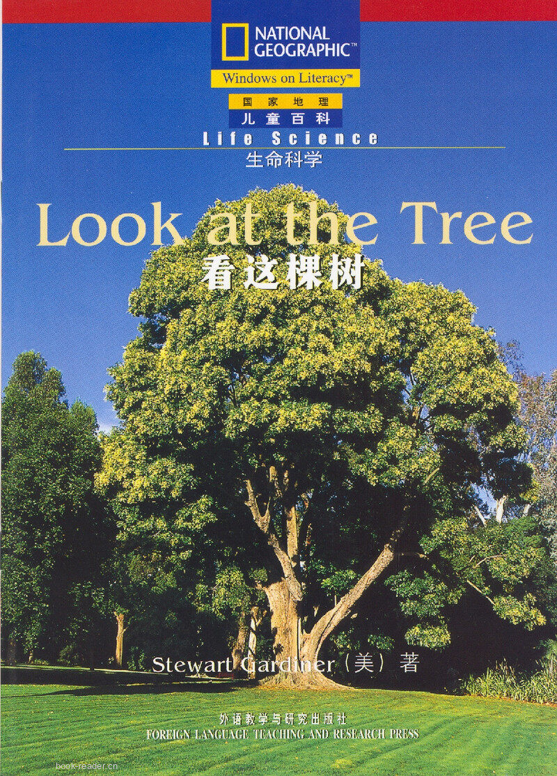 Look at the Tree绘本故事第2页